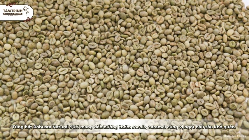Từng hạt Robusta Natural 90% mang đến hương thơm socola, caramel cùng vị ngọt hậu sâu khó quên.