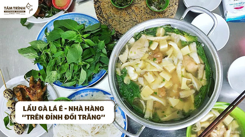 Lẩu gà lá é nhà hàng “Trên đỉnh đồi trăng”