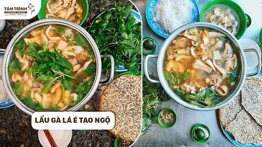Lẩu gà lá é Tao Ngộ