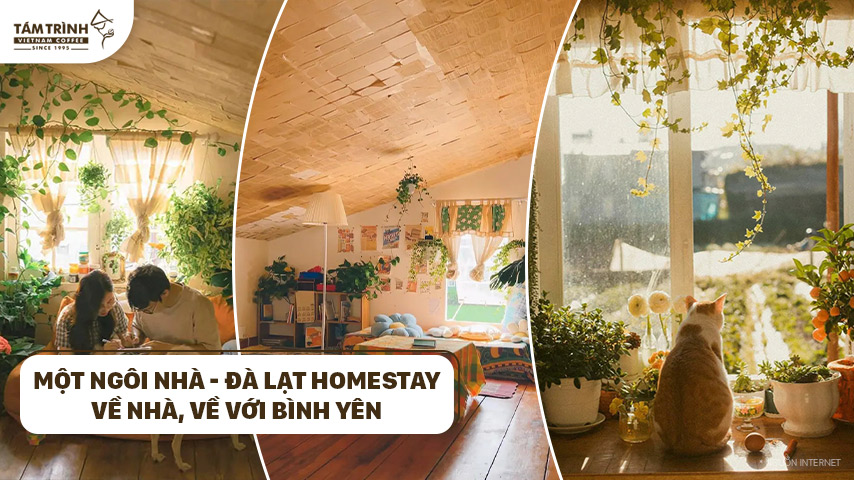 Về nhà, về với bình yên