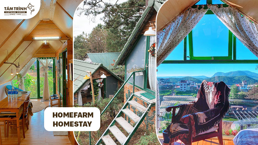 HomeFarm Homestay - những căn nhà nhỏ dưới tán thông già