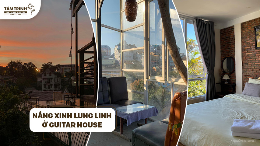 Những chiếc phòng bắt nắng xinh lung linh ở Guitar House