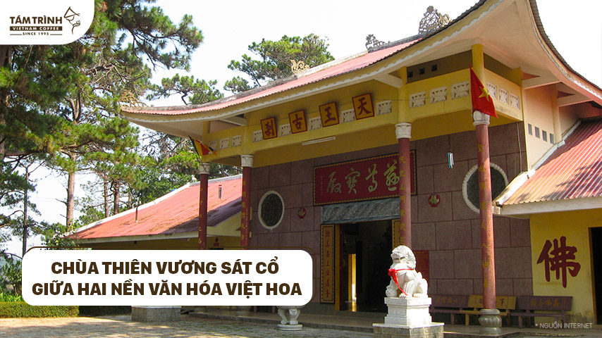 Chùa Thiên Vương Sát Cổ là nơi giao thoa hài hòa giữa hai nền văn hóa Việt Hoa, nếu là người yêu những giá trị truyền thống văn hóa thì đừng nên bỏ qua bạn nhé!