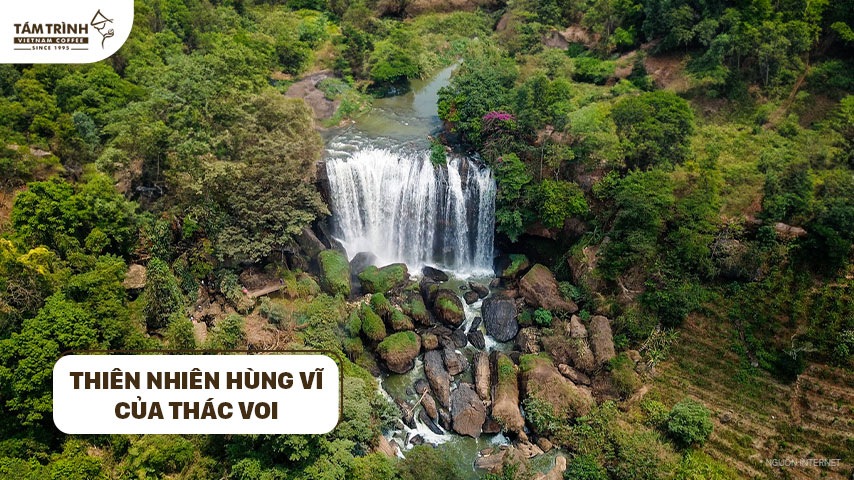 Thiên nhiên hùng vĩ của Thác Voi