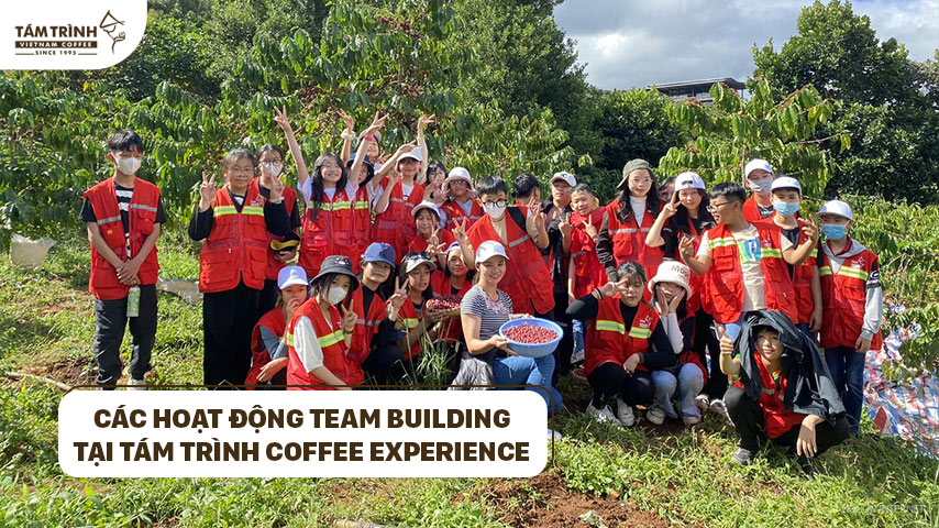 Các hoạt động team building tại Tám Trình Coffee Experience