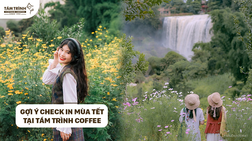 Gợi ý check in mùa tết tại Tám Trình Coffee