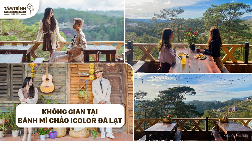 Không gian tại Bánh mì chảo Icolor Đà Lạt