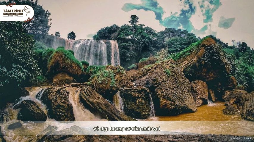 Vẻ đẹp hoang sơ của Thác Voi