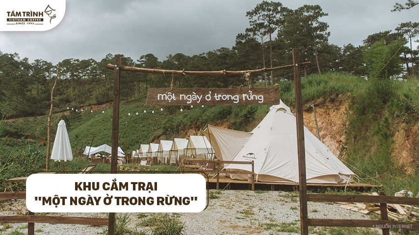 Khu cắm trại "Một ngày ở trong rừng"
