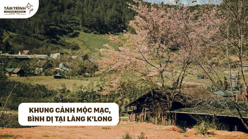 Khung cảnh mộc mạc, bình dị tại làng K’long làm bao con tim say đắm (Nguồn ảnh: Travel blogger Nguyễn Kỳ Anh)