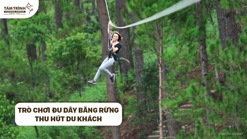 Trò chơi đu dây băng rừng thu hút du khách đến trải nghiệm bởi độ khó của game