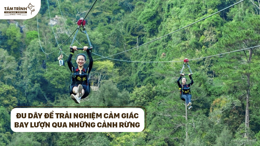 Đu dây để trải nghiệm cảm giác bay lượn hay băng qua những cảnh rừng - là trải nghiệm thật tuyệt vời!