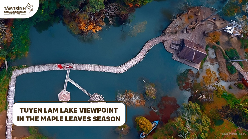 Tuyen Lam Lake viewpoint in the maple leaves season&nbsp;