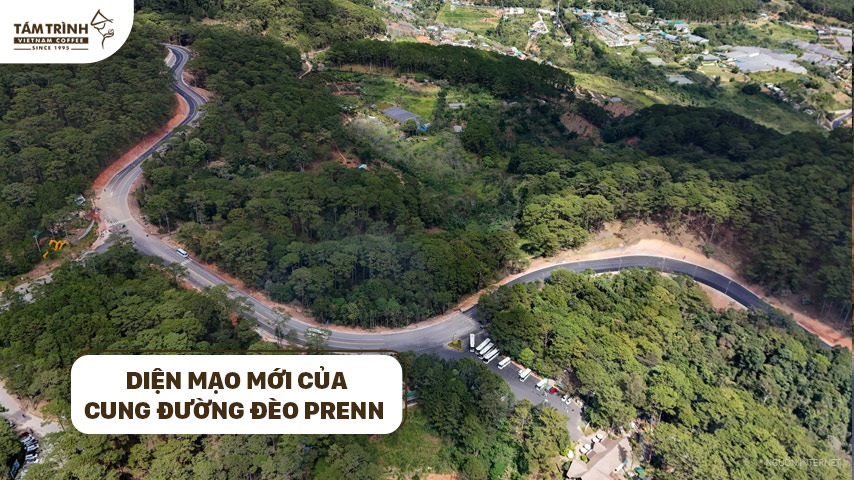 Diện mạo mới của cung đường Đèo Prenn&nbsp;