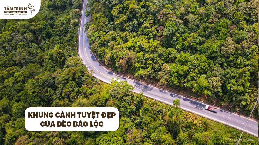 Khung cảnh tuyệt đẹp của Đèo Bảo Lộc
