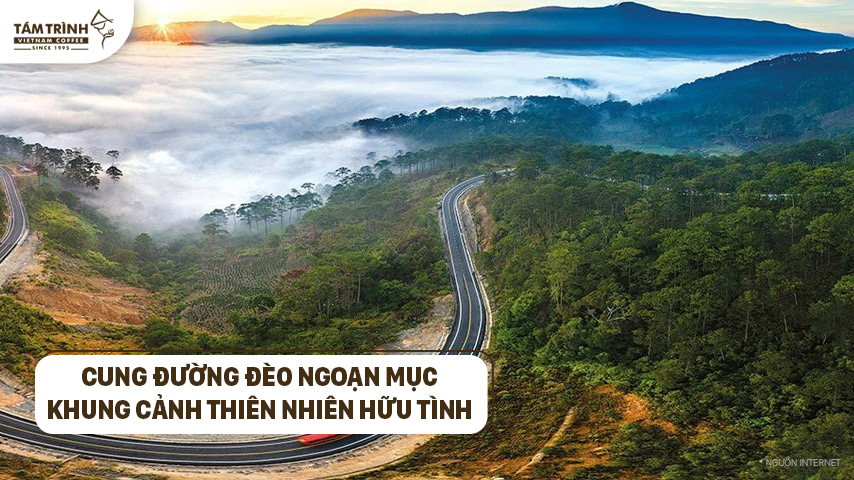Khung cảnh thiên nhiên hữu tình