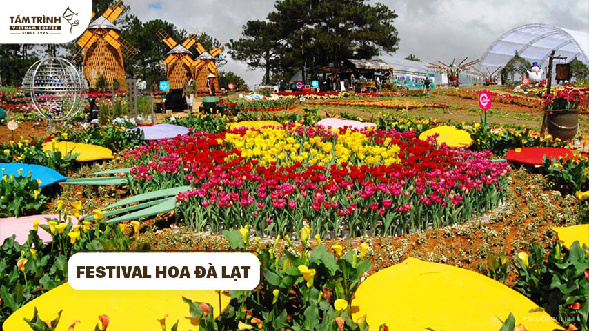 Festival hoa Đà Lạt