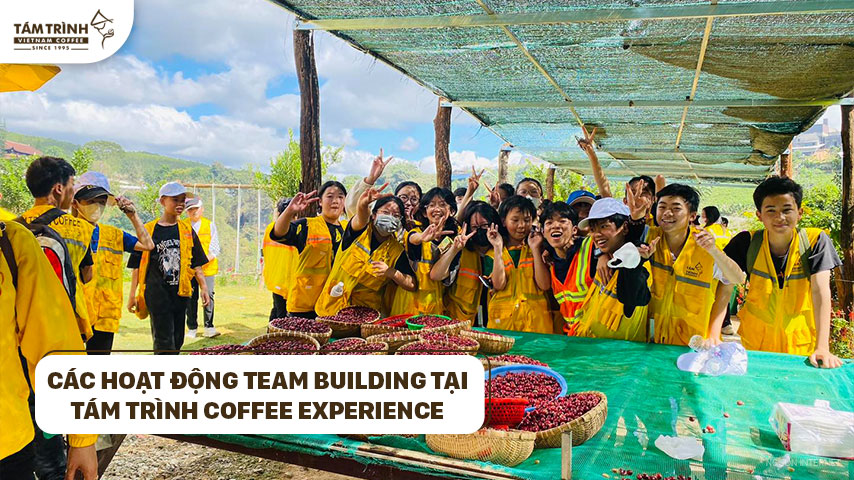 Các hoạt động team building tại Tám Trình Coffee Experience