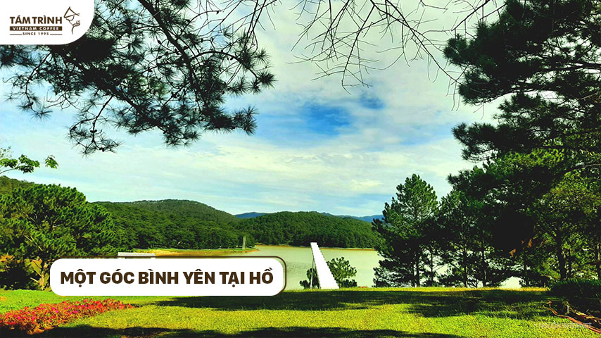 Một góc bình yên tại hồ