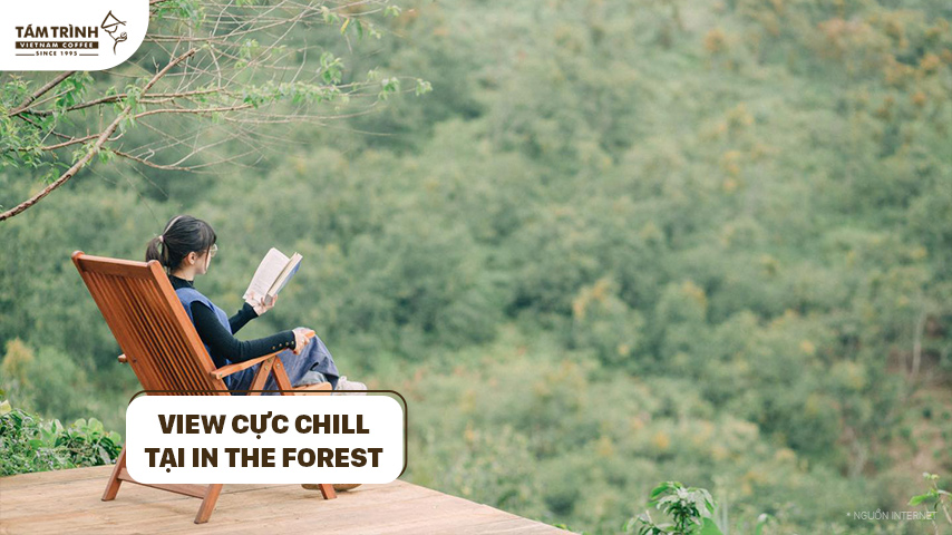 View cực chill tại In The Forest