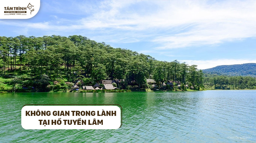 Không gian trong lành tại Hồ Tuyền Lâm