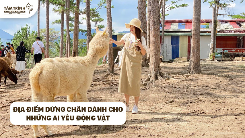 Địa điểm dừng chân dành cho những ai yêu động vật