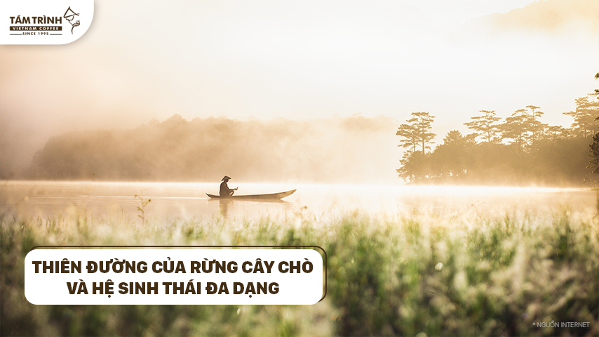 Suối Tía Dà Lạt