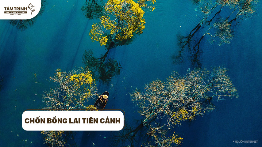 chốn bồng lai tiên cảnh