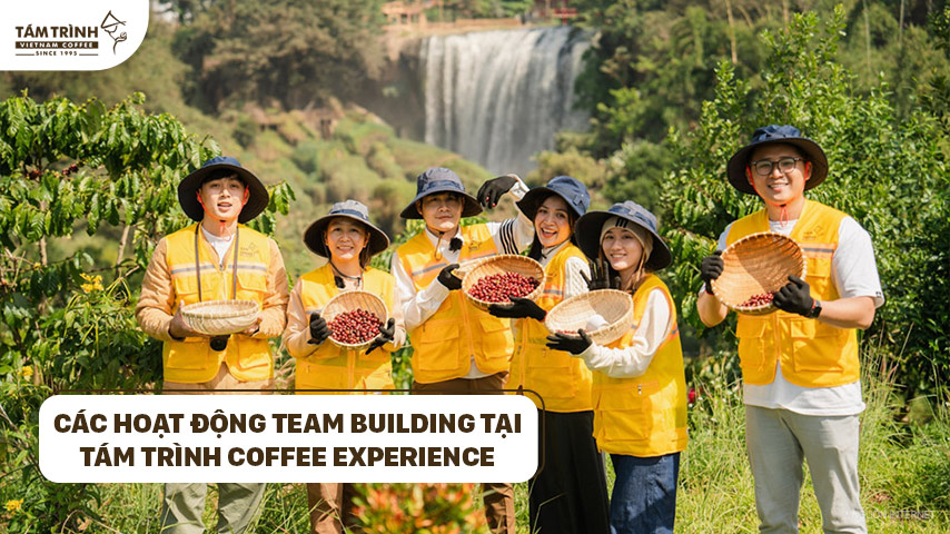 Các hoạt động team building tại Tám Trình Coffee Experience