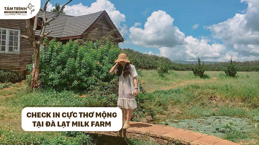 Check in cực thơ mộng tại Đà Lạt Milk Farm
