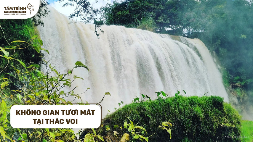 Không gian tươi mát tại thác Voi