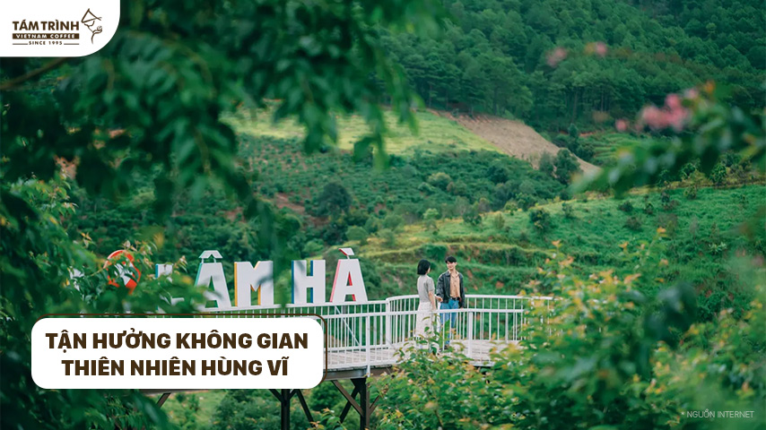 Tận hưởng không gian thiên nhiên hùng vĩ