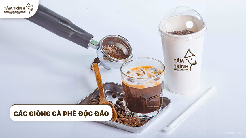 Các giống cà phê độc đáo