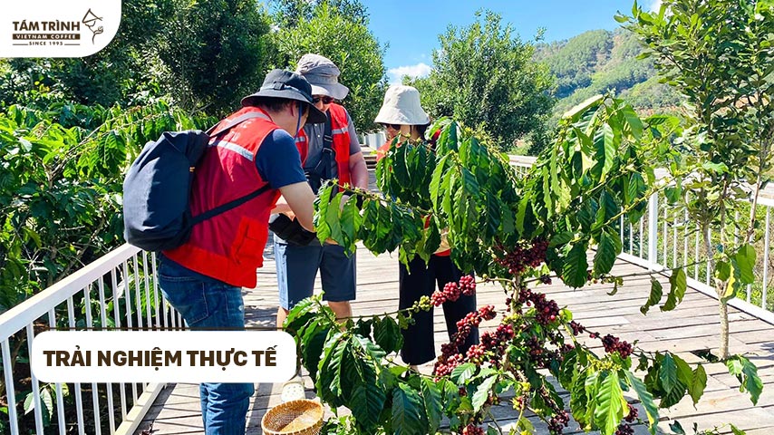 Trải nghiệm thực tế