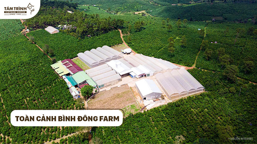 Toàn cảnh Bình Đông Farm