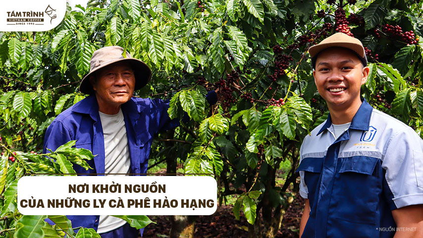 Nơi khởi nguồn của những ly cà phê hảo hạng