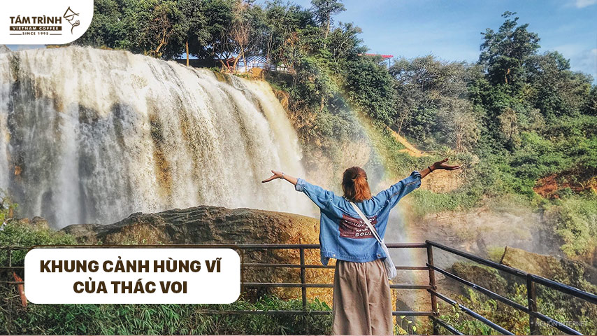 Khung cảnh hùng vĩ của Thác Voi