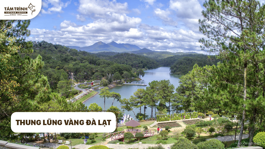 Thung Lũng Vàng Đà Lạt