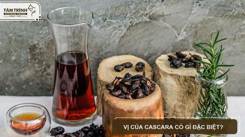 Cascara như một loại trà thảo mộc đậm hương vị trái cây