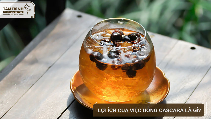 Lợi ích của việc uống Cascara