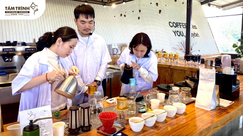 Hướng Dẫn Cách Pha Cà Phê Robusta