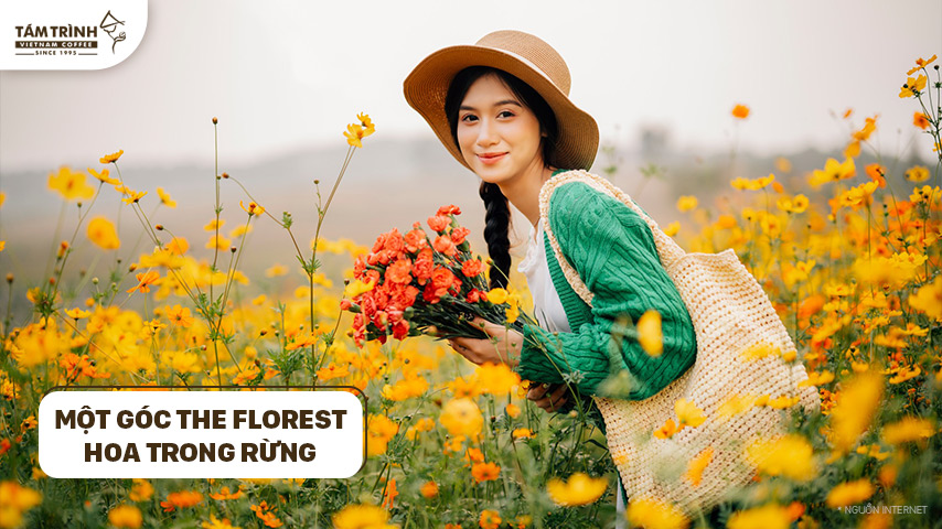 Một góc The Florest - Hoa Trong Rừng