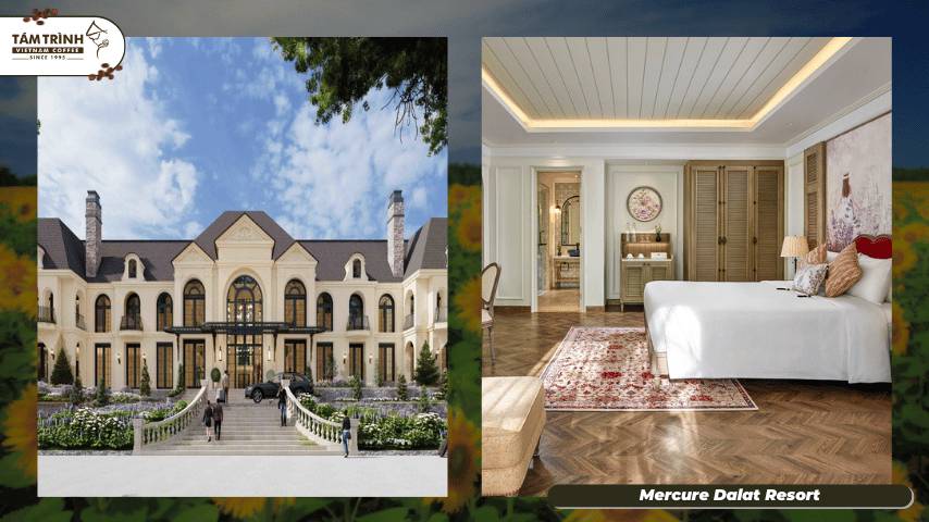 Mercure dalat resort: Nét đẹp Pháp cổ giữa lòng thành phố mộng mơ