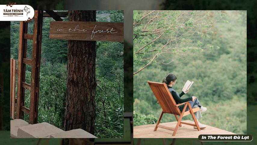Lối vào In The Forest