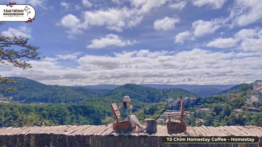 Tổ Chim Homestay - Thiên Đường Sống Ảo Tại Đà Lạt