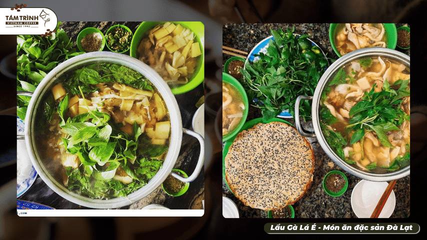 Lẩu Gà Lá É - Món ăn đặc sản Đà Lạt