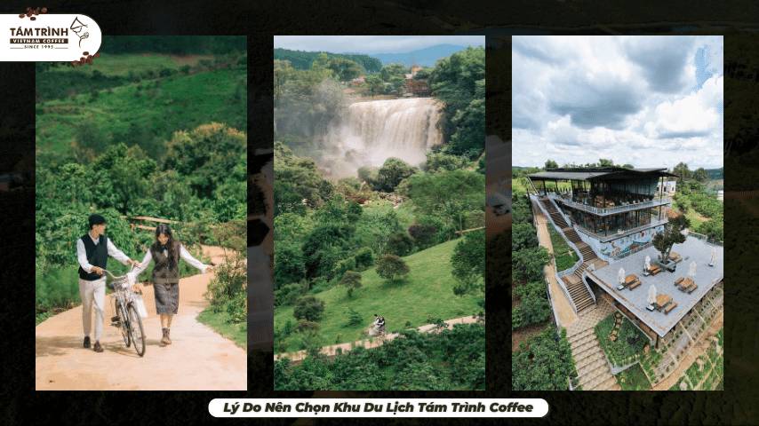 Lý Do Nên Chọn Khu Du Lịch Tám Trình Coffee