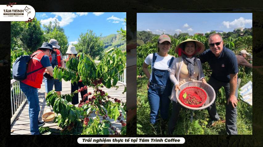 Trải nghiệm thực tế tại Tám Trình Coffee