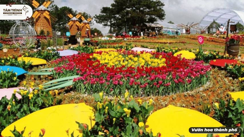 Vườn hoa thành phố, bạn như được lạc vào xứ thần tiên với hàng trăm loài hoa đua nhau khoe sắc