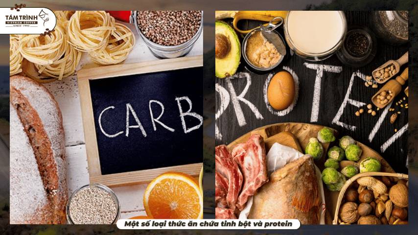 Một số loại thức ăn chứa tinh bột và protein